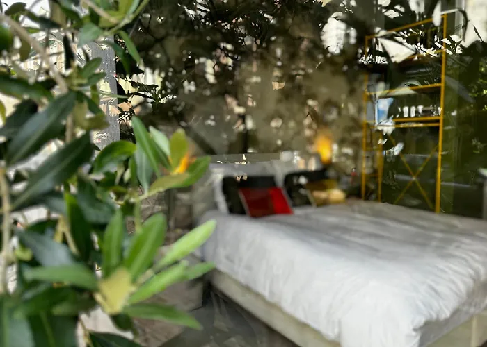 Daen'S Greenhouse Utrecht